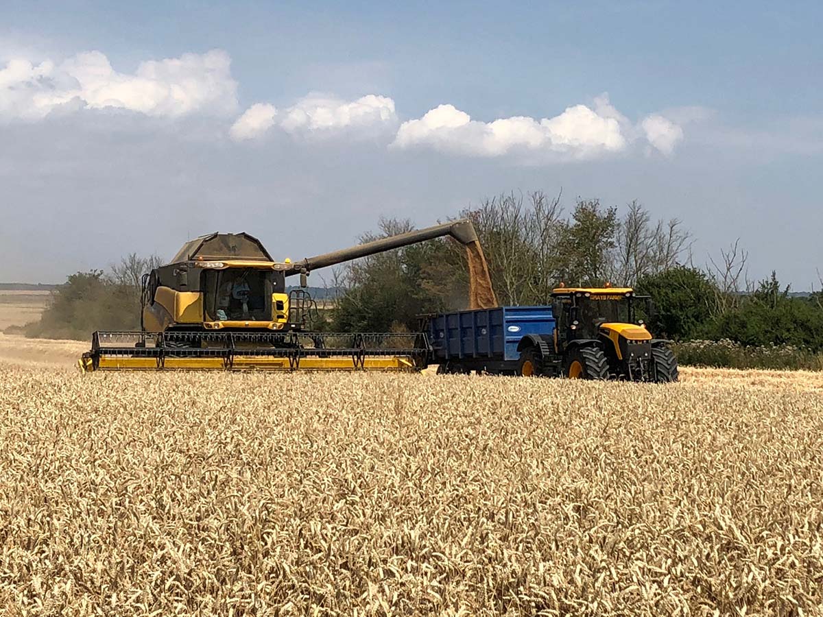 Farm Contracting AM Gray Grays Farms Essex, Norfolk and Exeter